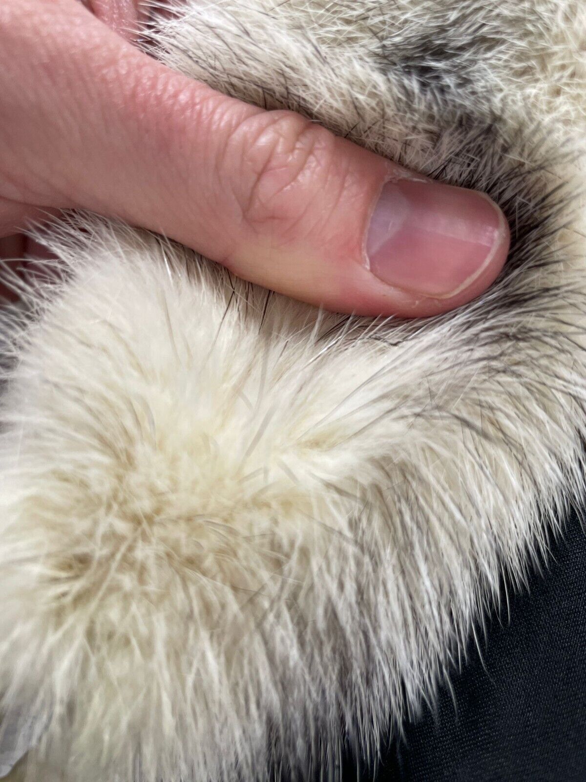 Cross Mink Fur Womens S/M Coat Trench Kohinoor Silver Iris Pearl Shawl Vintage