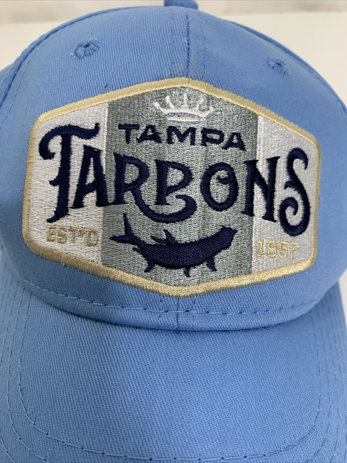 Tampa Tarpons MILB Strapback Cap Hat New York Yankees FSL Dad MLB