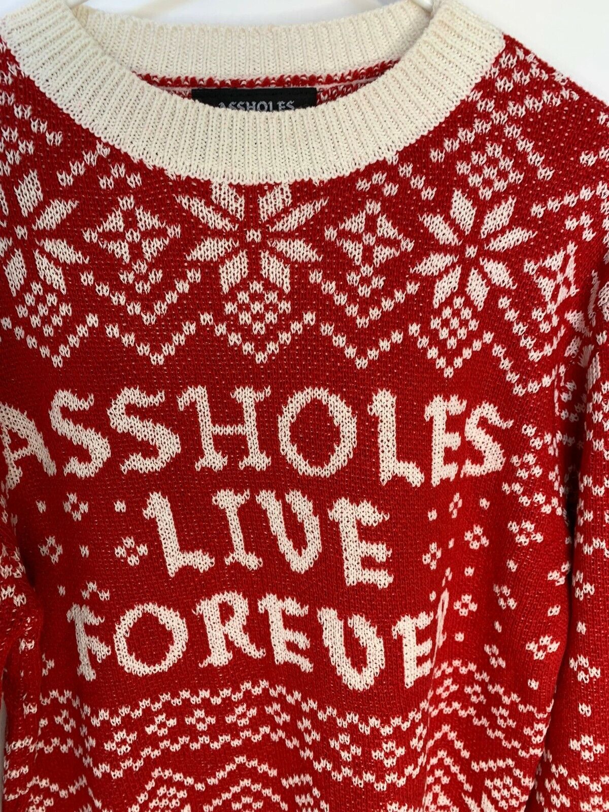 A**holes Live Forever Linda Finegold Mens M Fair Isle Holiday Sweater – B  Squared Liquidation